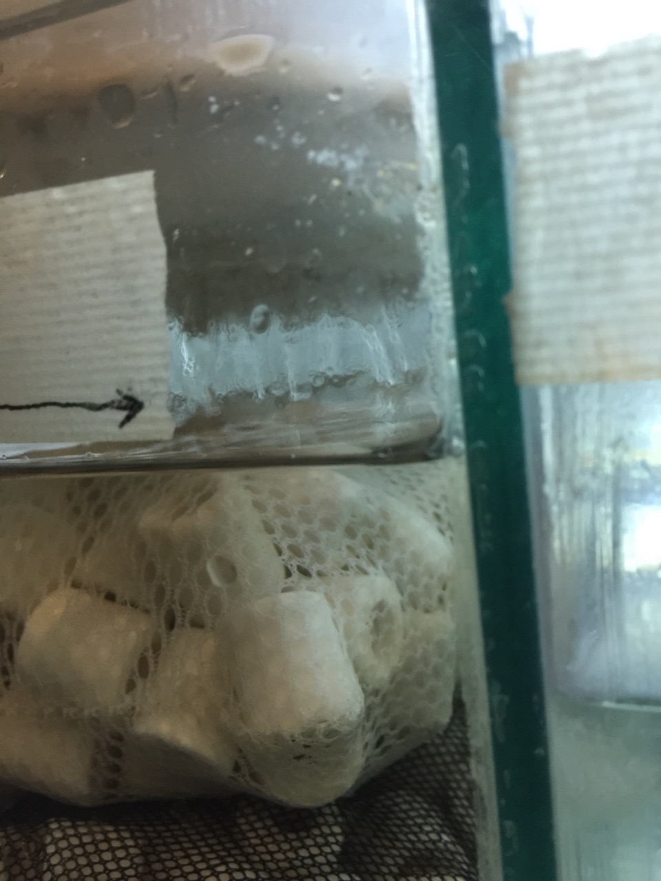 鱼缸diy用什么石头,鱼缸diy制作30元