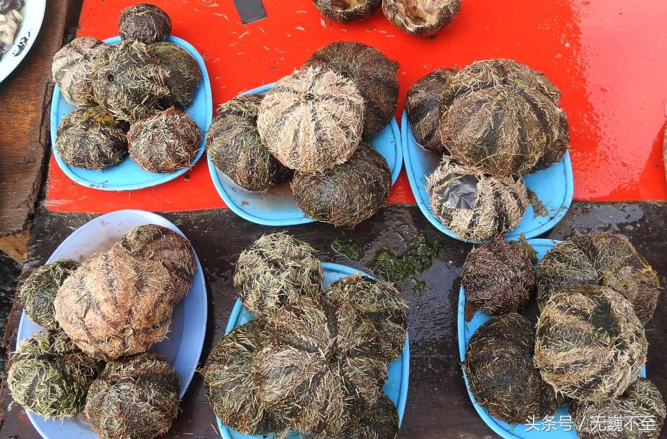 仙本那人间仙境的秘密,仙本那不为人知的一面