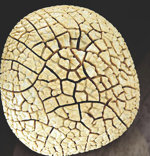 有人喜欢这样的石头，口味还能再重一些吗？