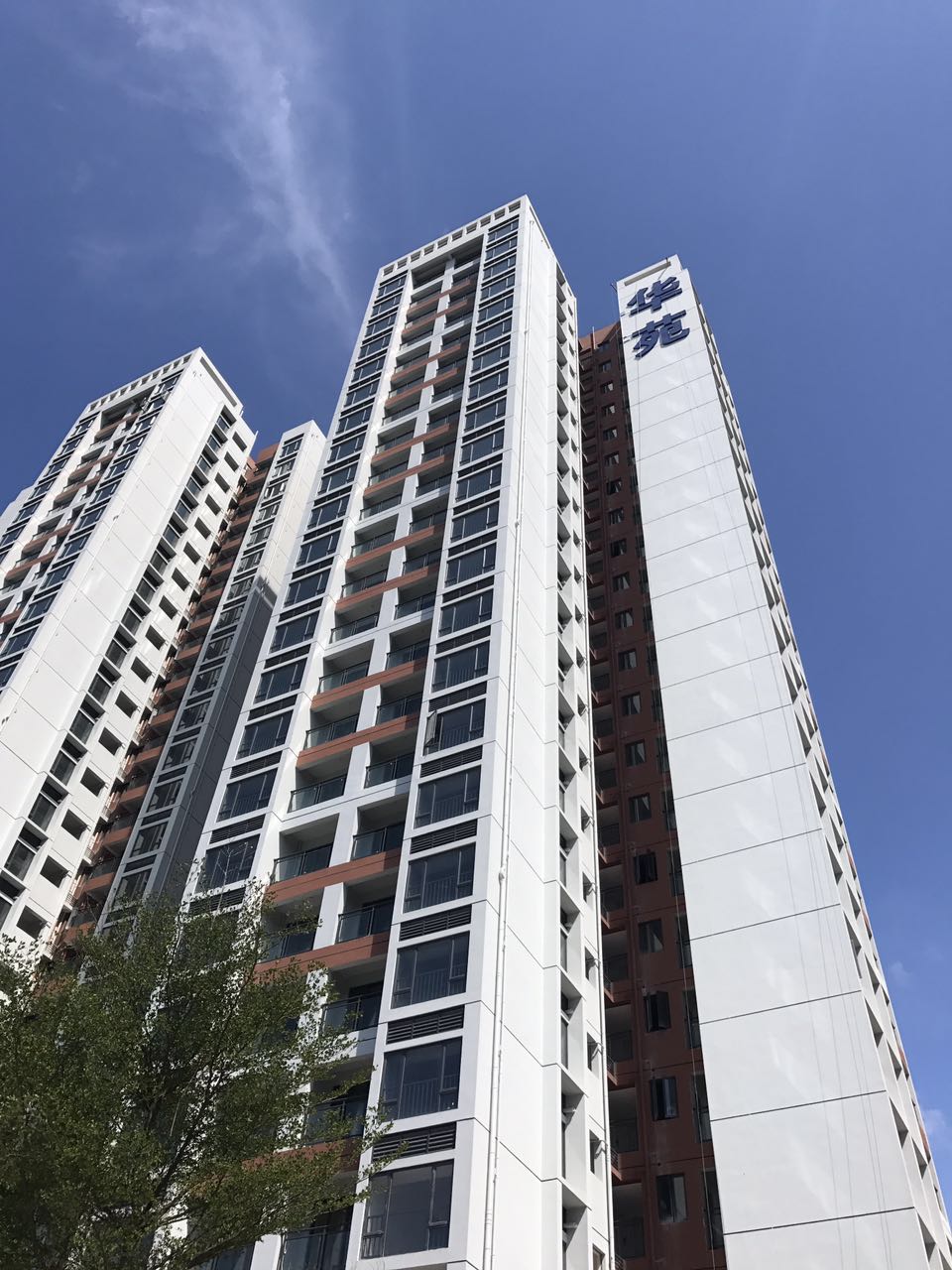 上周,深圳买房的人都去了观音山、凤凰山旁边的华苑