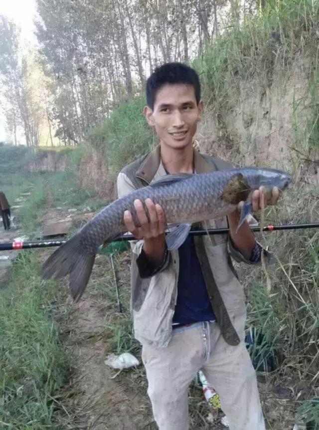 半价活动快来抢购,半价狂欢活动来袭