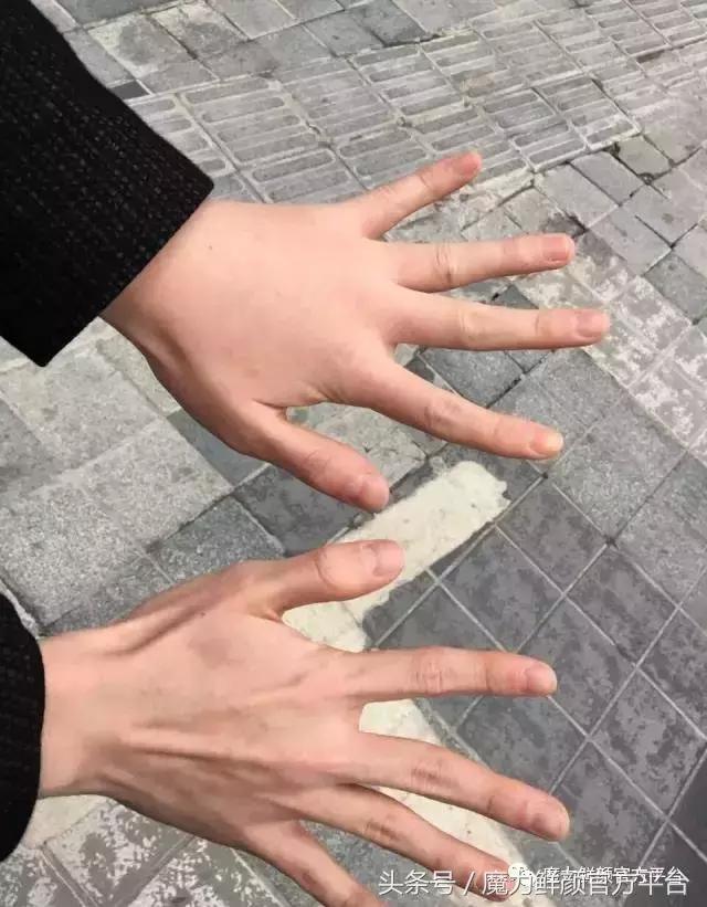 有哪些比较好笑的梗,最近网上最好玩的梗