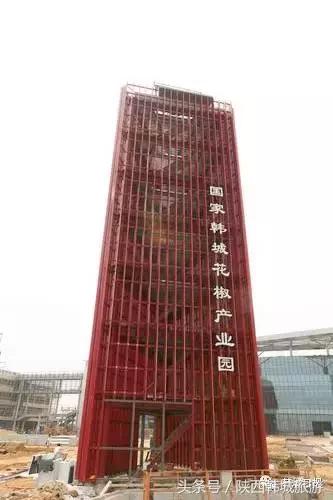 韩城最好的花椒产业园 (韩城花椒产业园区)