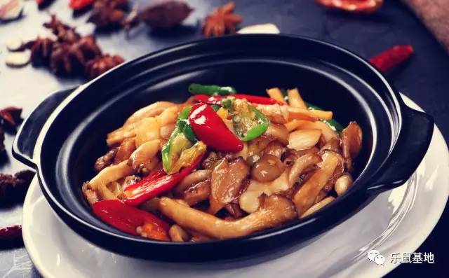 砂锅炖的菜为什么好吃,砂锅做什么菜好吃