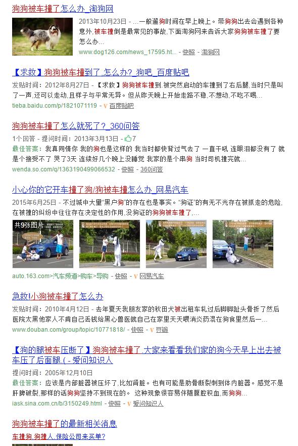 前天在路上看到一只狗被车撞,狗狗出车祸还能救吗