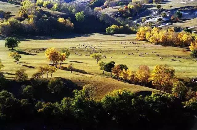 每个城市都有一个坑外地人的街吗,国内旅游防踩坑步行街