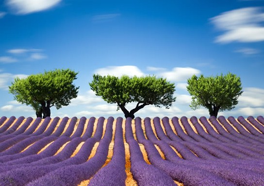 有个性的早安说说句句简短走心,早安语录励志点赞高的说说带图片