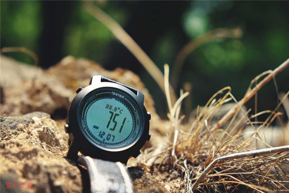 国货当自强现场,国货当自强原视频