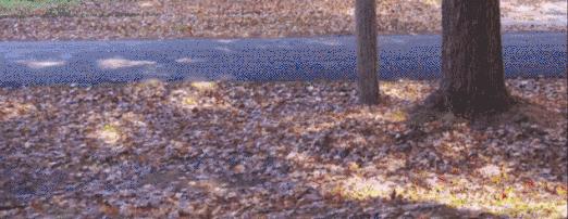 战狼2里面的无人机片段,战狼二无人机哪个好