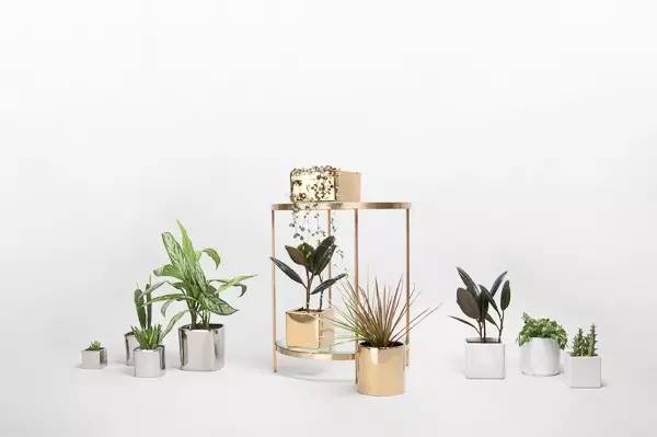 拒绝廉价感的装修风格,拒绝世俗轻奢家具诠释新古典魅力