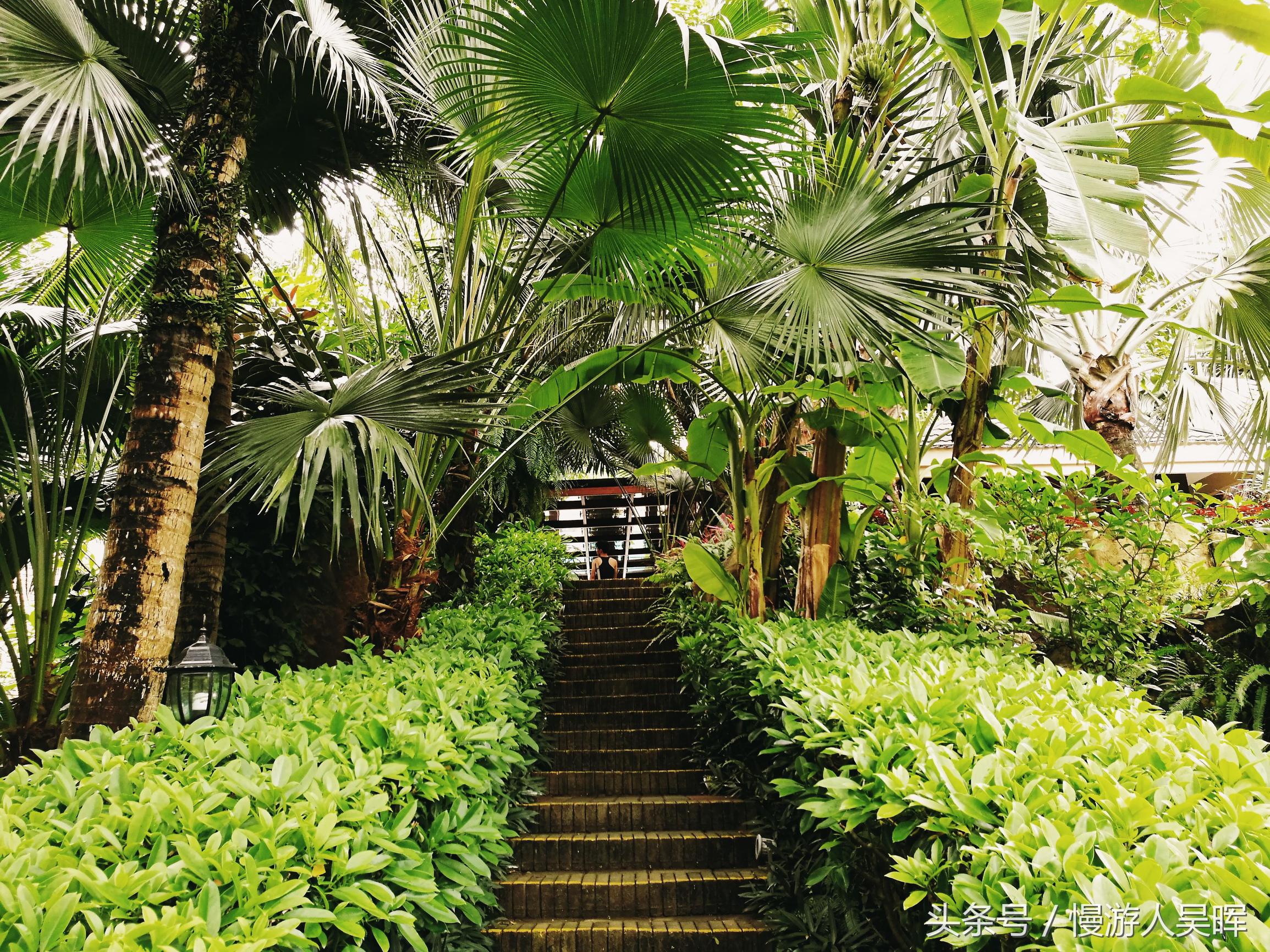 海南岛三亚和万宁哪个好玩 (海南三亚琼海自由行)