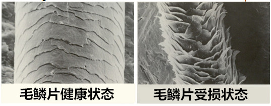 美发师Tony不会告诉你烫染后的护发秘诀，在这里！