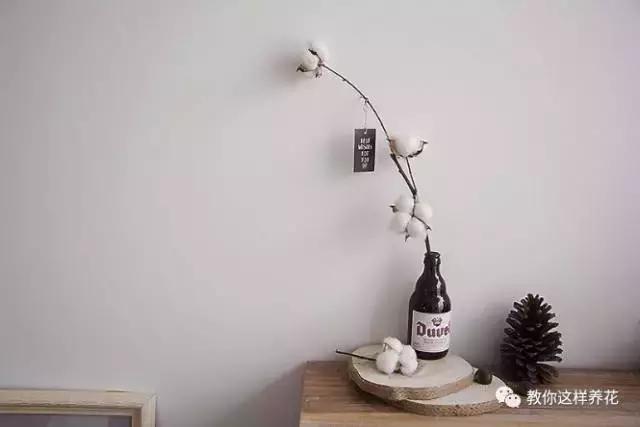 娈嬫灊璐ュ彾鎻掕姳,娈嬫灊璐ヨ姳