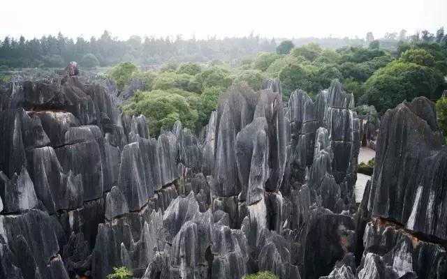 12月机票提前多少天订最便宜,每个星期哪天订机票最便宜