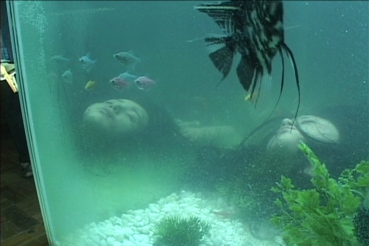 韩国电影惊悚恐怖片,医生韩国惊悚电影在线