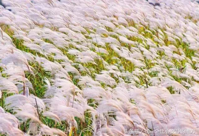 1-3月份山东适合去哪旅游,山东1月2日旅游攻略大全