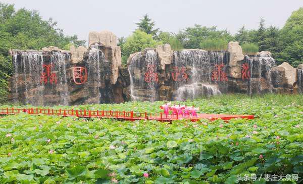 滕州微山湖红荷湿地灯光秀,20届滕州微山湖红荷湿地开幕式