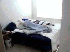 汪星人叫声集锦,汪星人打歌