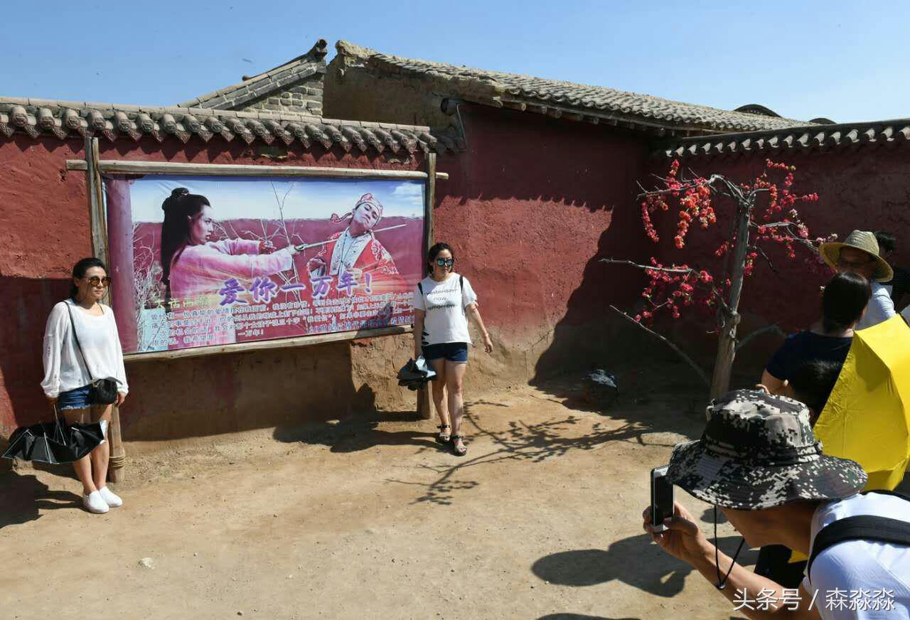 西部影视城一枝独秀,西部影视城荒凉