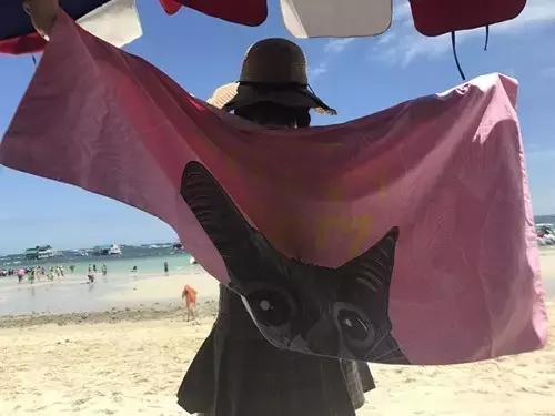 一路向北浪漫美丽的夏季,一路向南从冬天到夏天