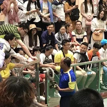 一路向北浪漫美丽的夏季,一路向南从冬天到夏天