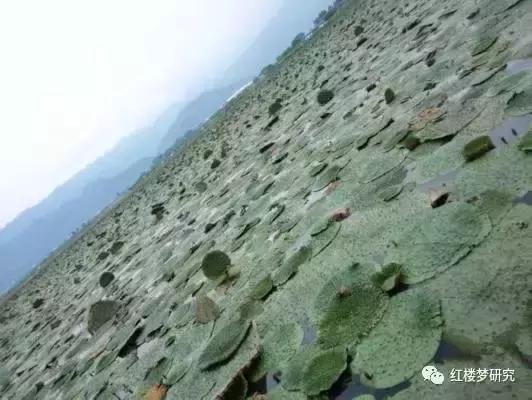 中国奇怪的名字,一些奇怪的名字