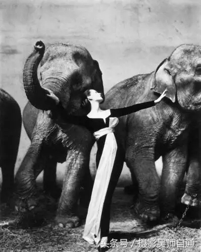 大师的作品完整版,大师的艺术照片怎么拍