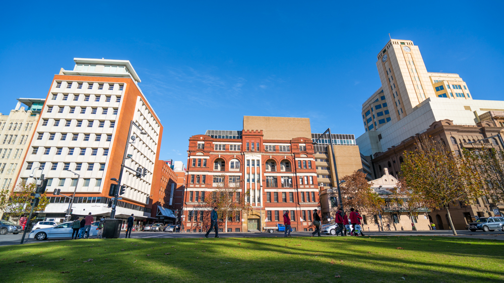 澳洲生蚝哪里最好,全球顶级生蚝多少钱一个