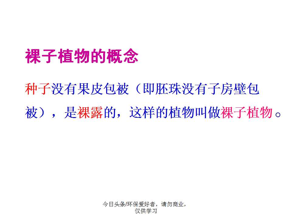 认识植物从身边开始,认识植物的根茎叶各个部分