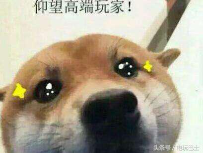 大家都用生命仰视有坐骑的高端玩家，但她却跟别家狗子跑了