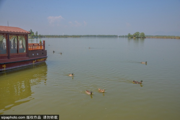 湿地公园最好的避暑圣地,北京避暑湿地公园名单