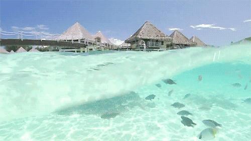 天津最美“民宿”，偷得浮生半日闲，愿你也能把日子过成诗！