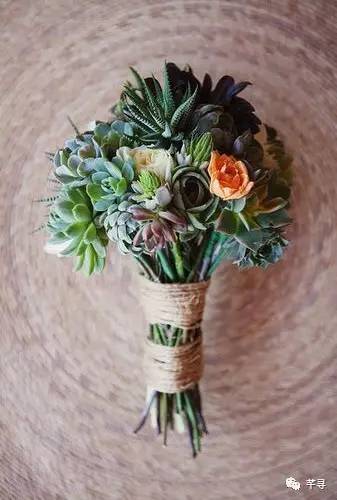 复古捧花品种,常见捧花品种