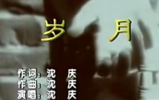 沈庆青春岁月,沈庆岁月