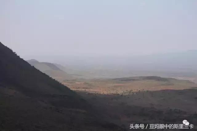 风动？树动？心动！致你，Kenya