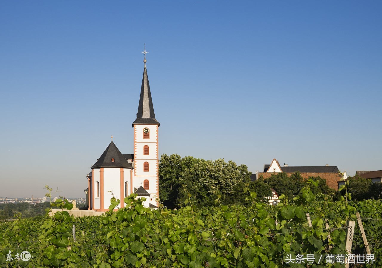 柏图斯酒庄名品介绍,柏图斯petrus