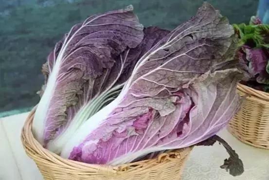 广元朝天曾家山美食,广元曾家镇美食