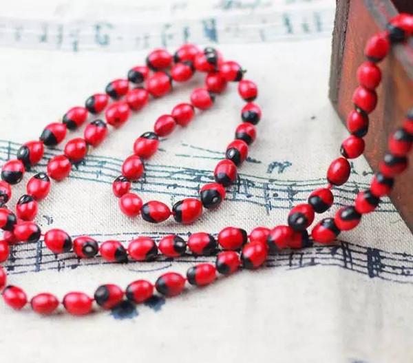 什么植物适合做手串,可以做手串的植物种子