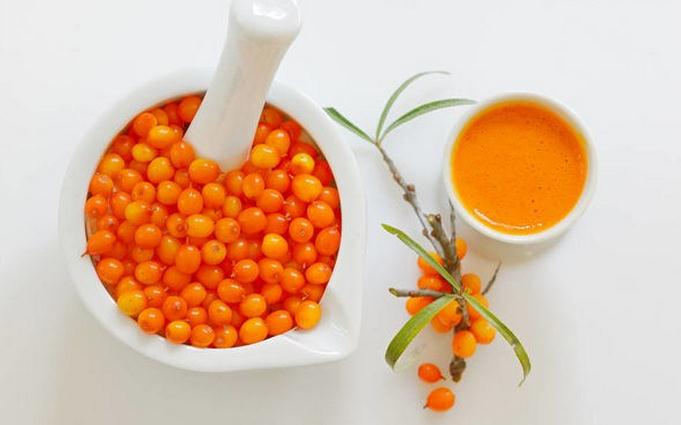 最原始的植物进化史,三亿年前的古老植物