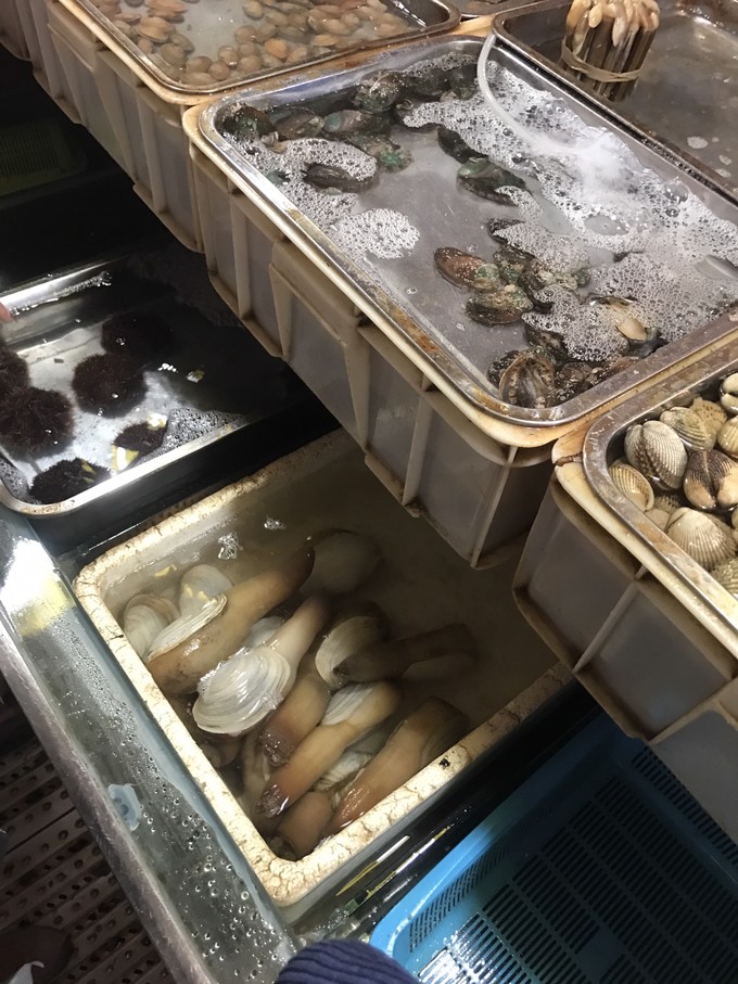 带着老妈和宝贝游三亚（两家铂尔曼和亚龙湾红树林度假之旅）