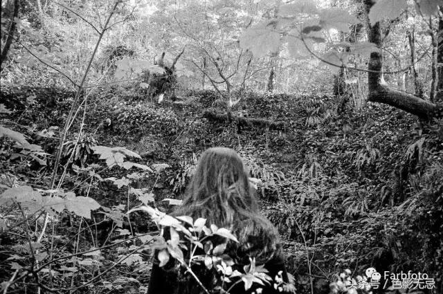 众望所归夺冠视频,众望所归的冠军视频