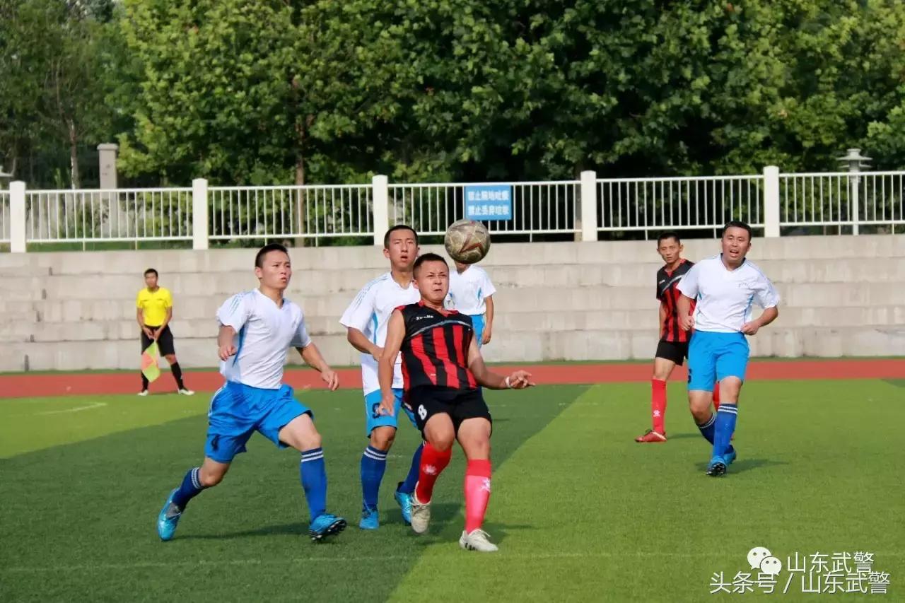 卫士动力110,卫士动力