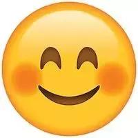 你的聊天记录里还缺少这一枚英文表情包