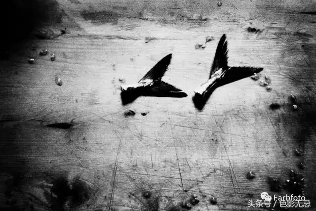 众望所归夺冠视频,众望所归的冠军视频