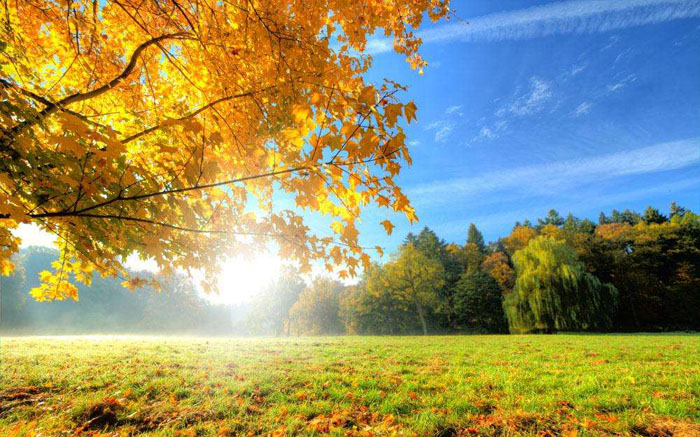 秋季养生谨防四点,秋季养生防病做好这四点