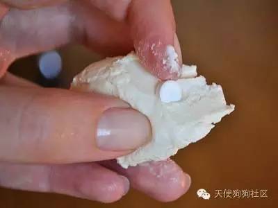 狗狗喂药小妙招药片,狗狗喂药五步法