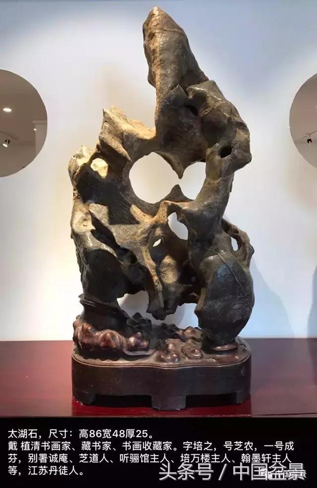 盆景的意境之美,优雅的盆景