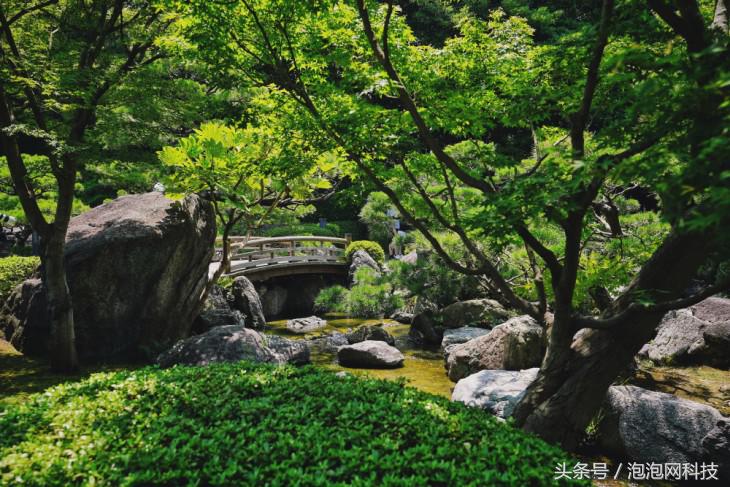 索尼微单a9最新消息,索尼a9新微单