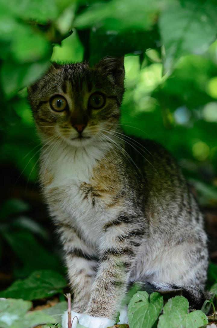 感受战斗民族日常,感受战斗民族的热情