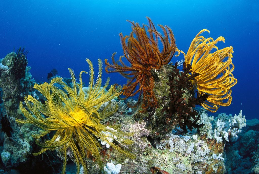 大堡礁还值得去吗,大堡礁三日游行程